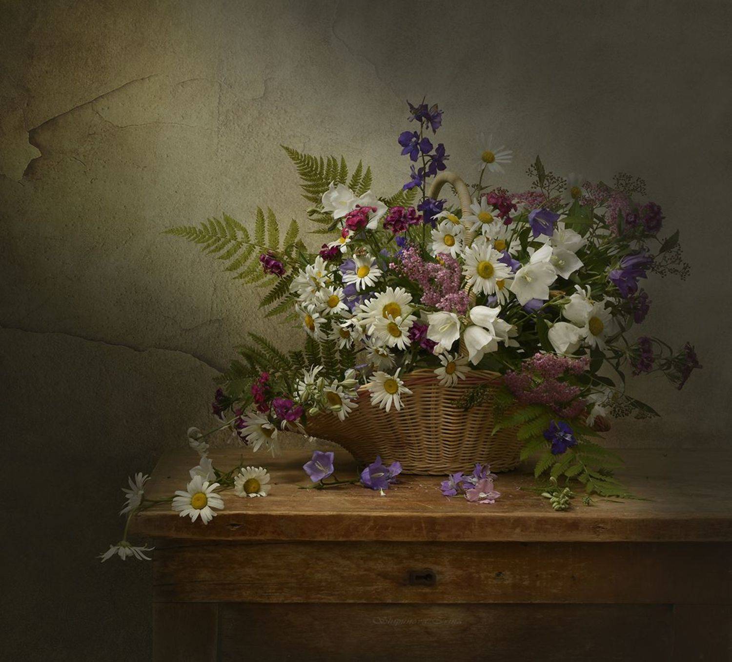 , Шипунова Ирина