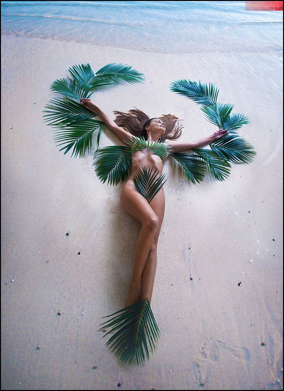 Palm Coast ⭒ фото превью