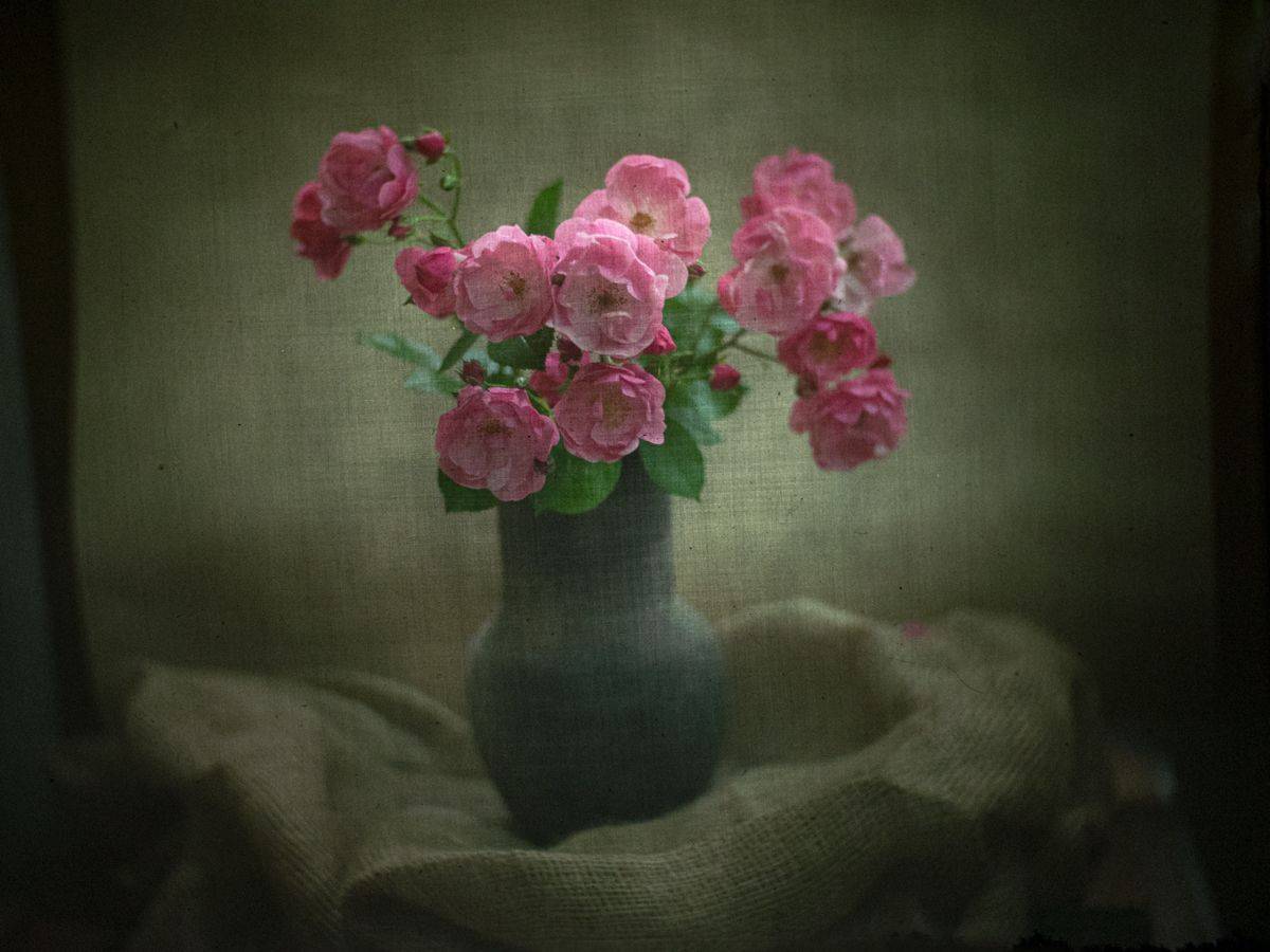 #haruhisa, Татьяна Аверина