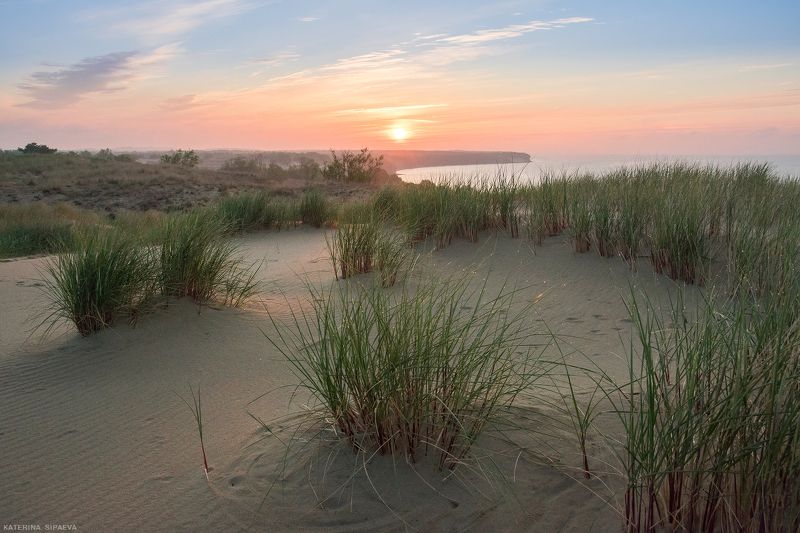 куршская коса, природа, пейзаж, рассвет Так начинался новый день фото превью