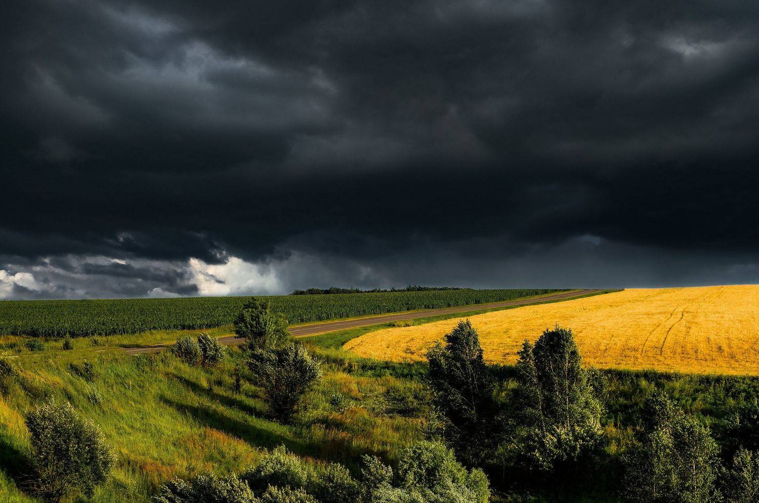 , Екатерина