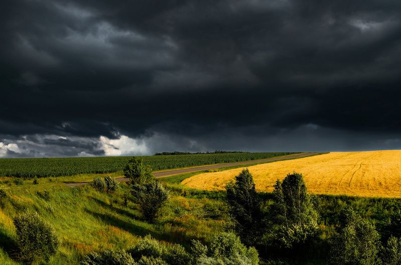 Предгрозовые контрасты... фото превью