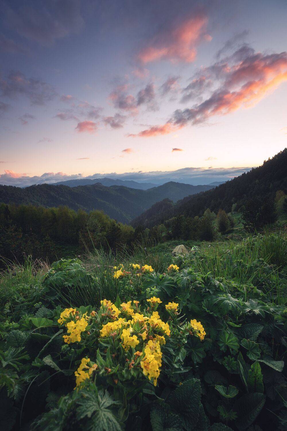 , Алексей Козаченко