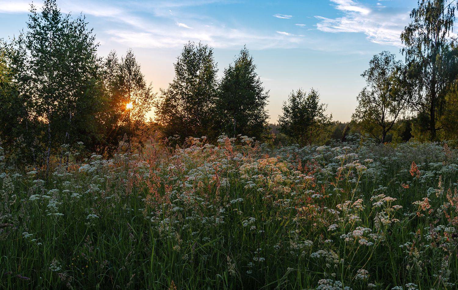 , Дмитрий Асеев