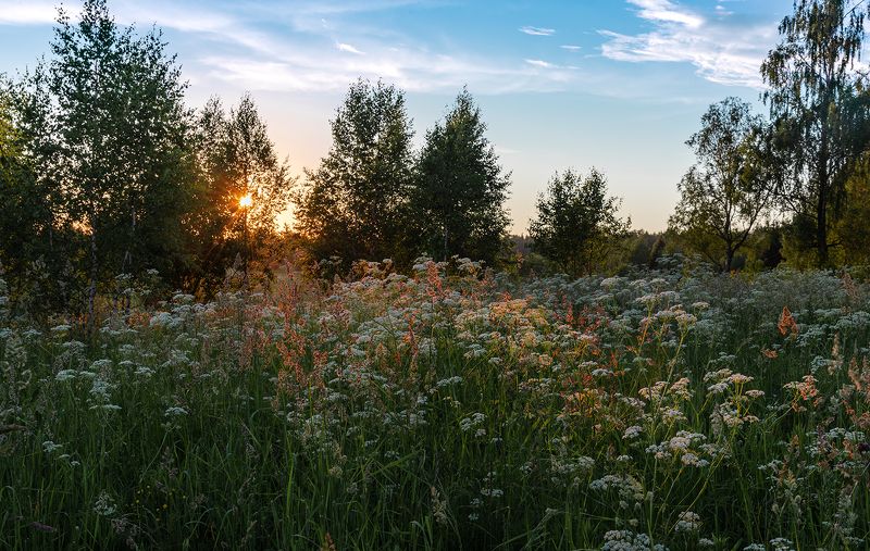 Утонуть в летнем вечере. фото превью