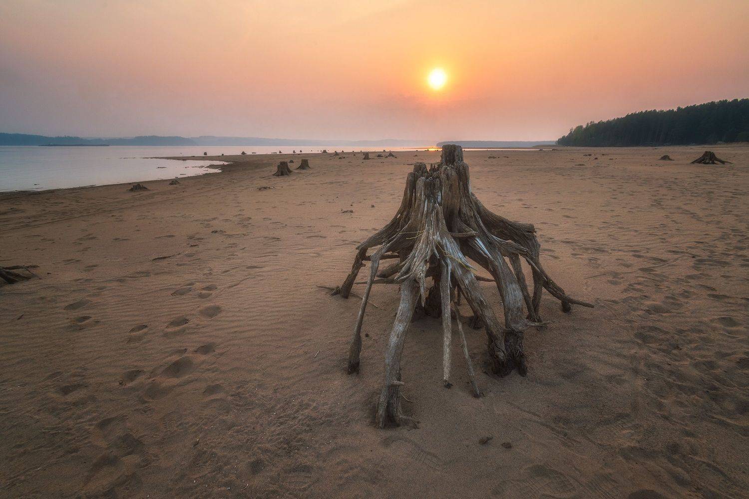 пермский край, полазна, берег, пень, россия, урал, пейзаж, река, закат, вечер, солнце, Кирилл Кузнецов