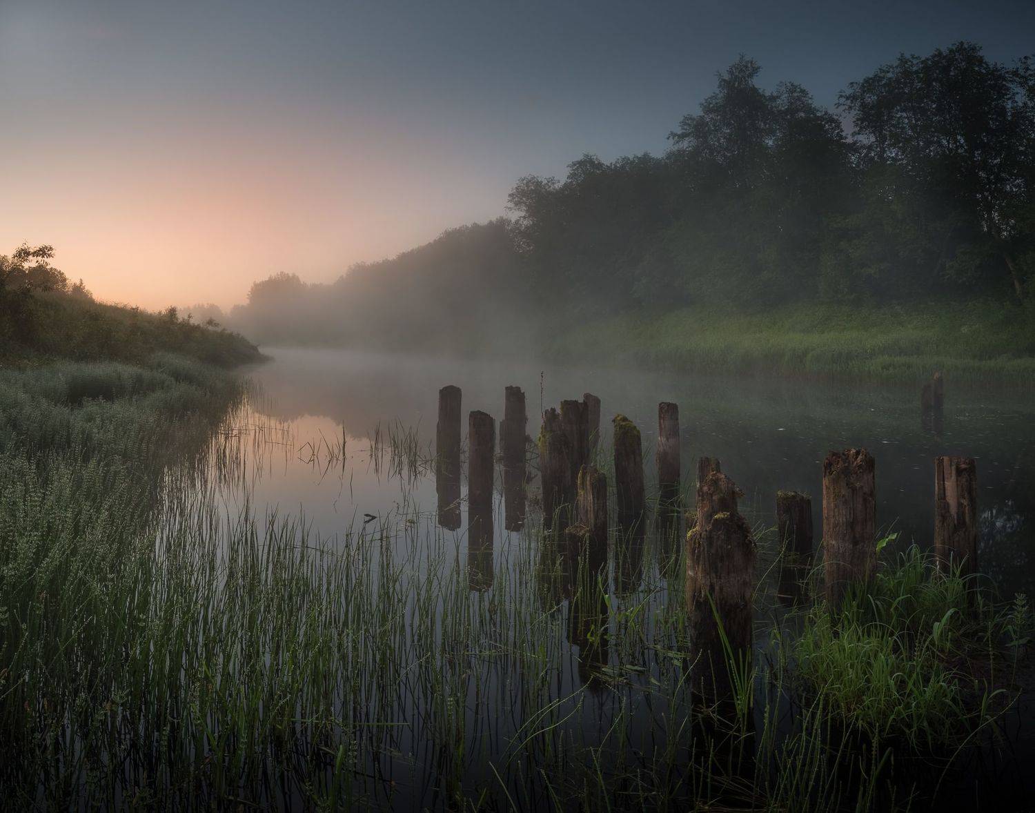 новгородская область, река, туман, утро, лето, Роман Фабричный