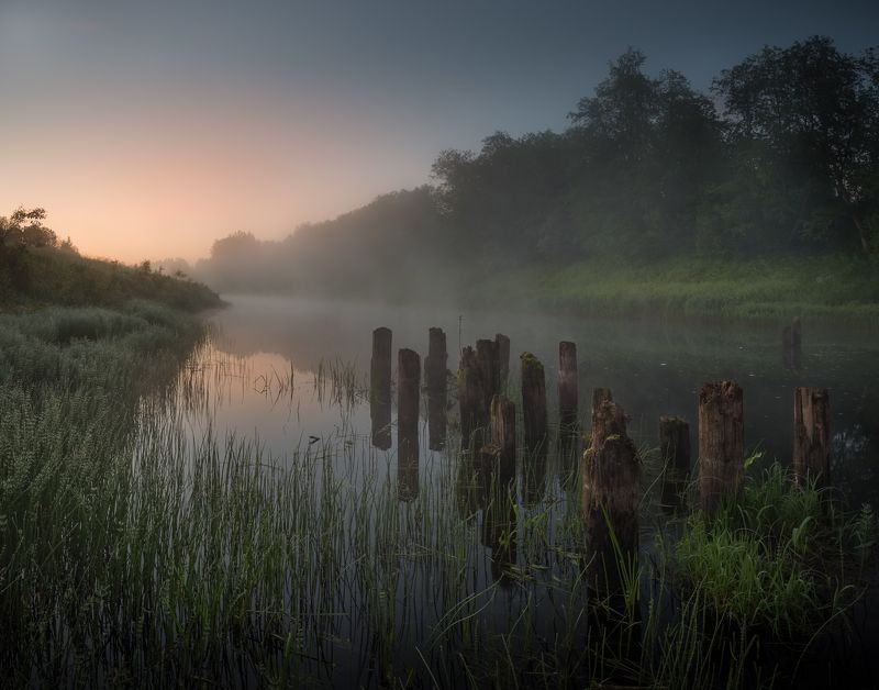 новгородская область, река, туман, утро, лето Останки фото превью