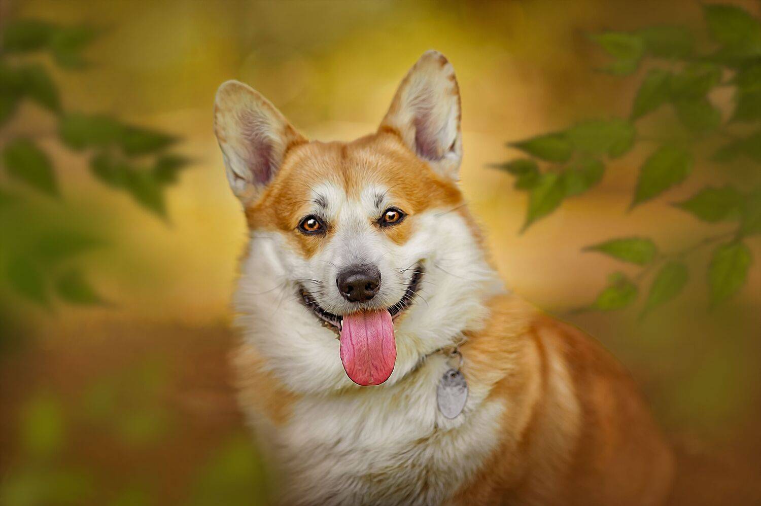 , Ксения Лысенкова