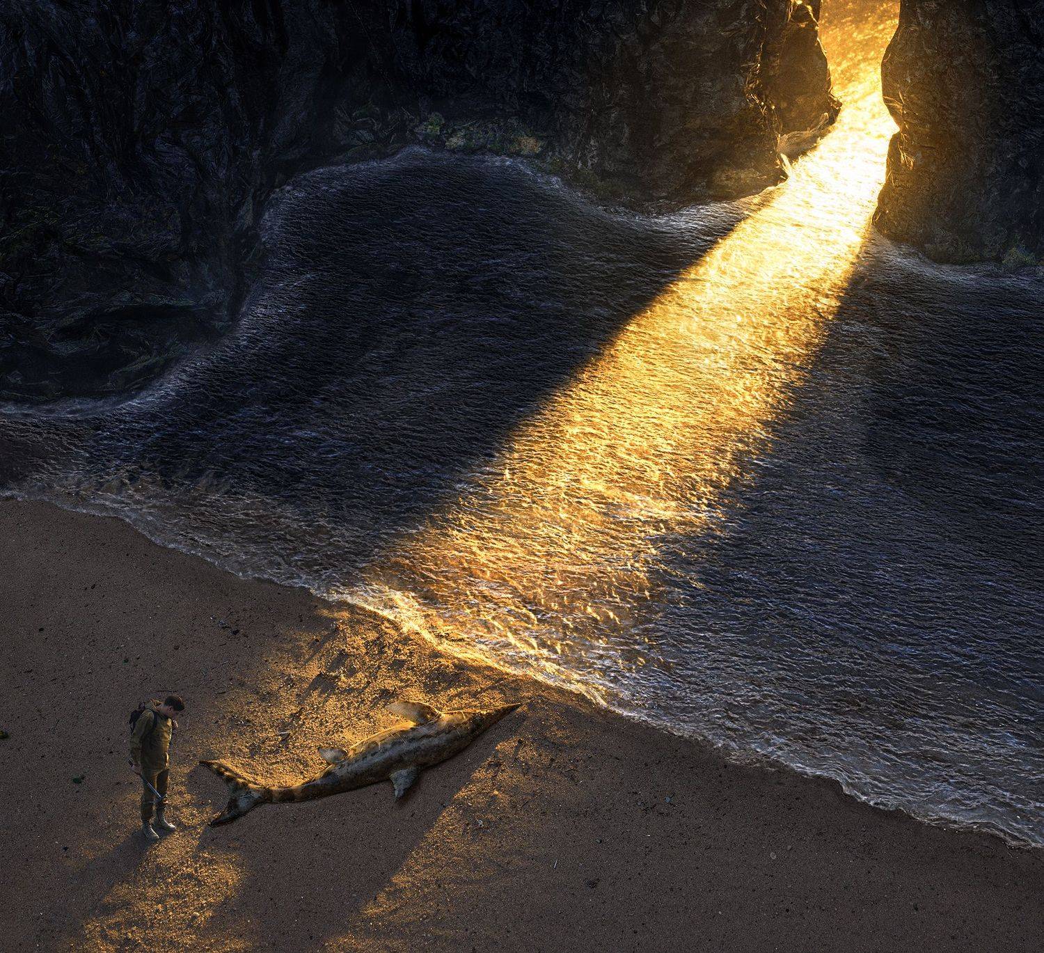 parishkov, постановочная, фотография, ихтиозавр, закат, залив, природа, атмосфера, парышков, диорама,  , Парышков Сергей