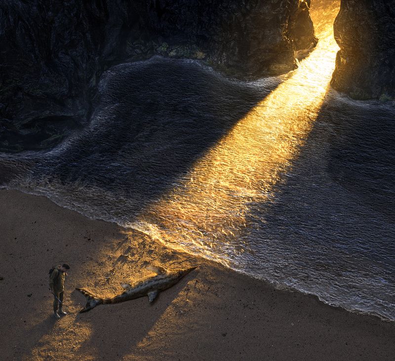 parishkov, постановочная, фотография, ихтиозавр, закат, залив, природа, атмосфера, парышков, диорама,    фото превью