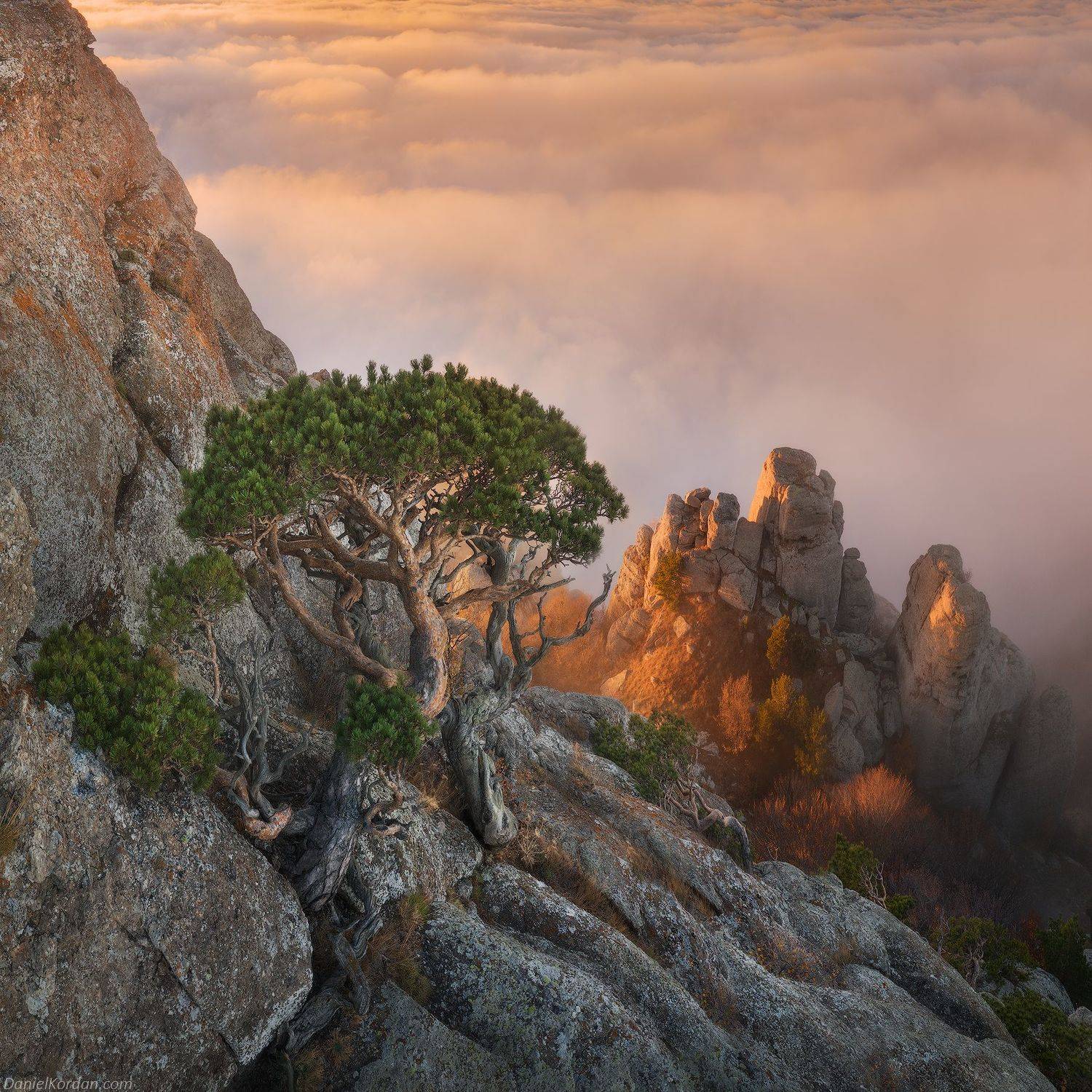 Крым, Даниил Коржонов