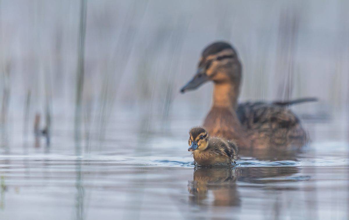 , Sławek Przybylski