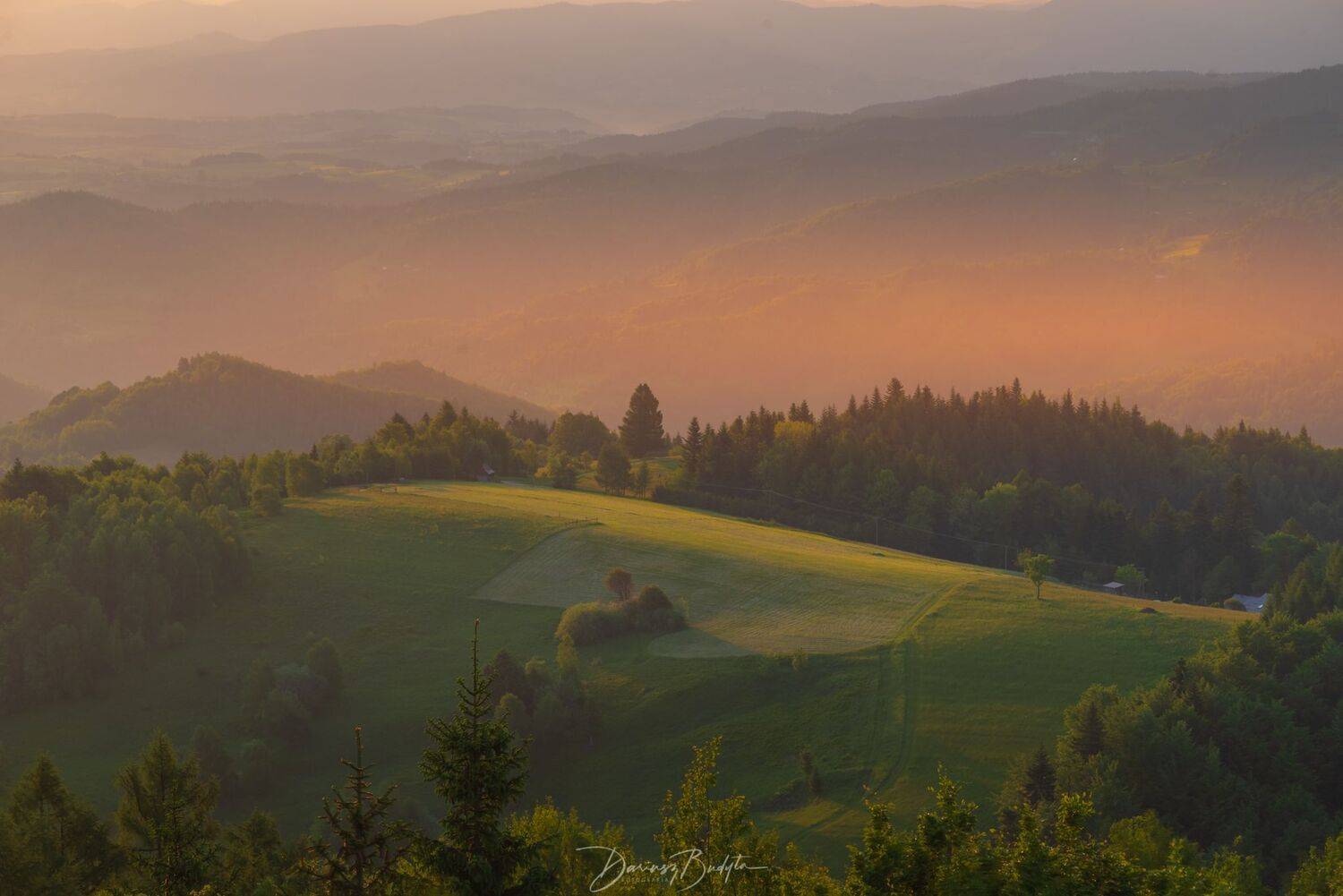 fog,mist,haze,trees,forest,morning,tree,sunrise,atmosphere,dawn,light, Dariusz Budyta