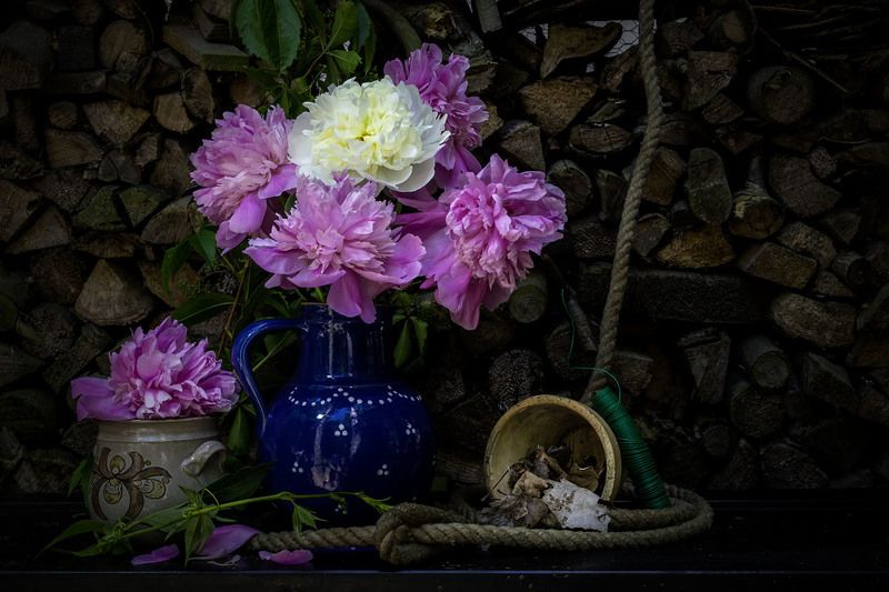 Pfingstrosen фото превью