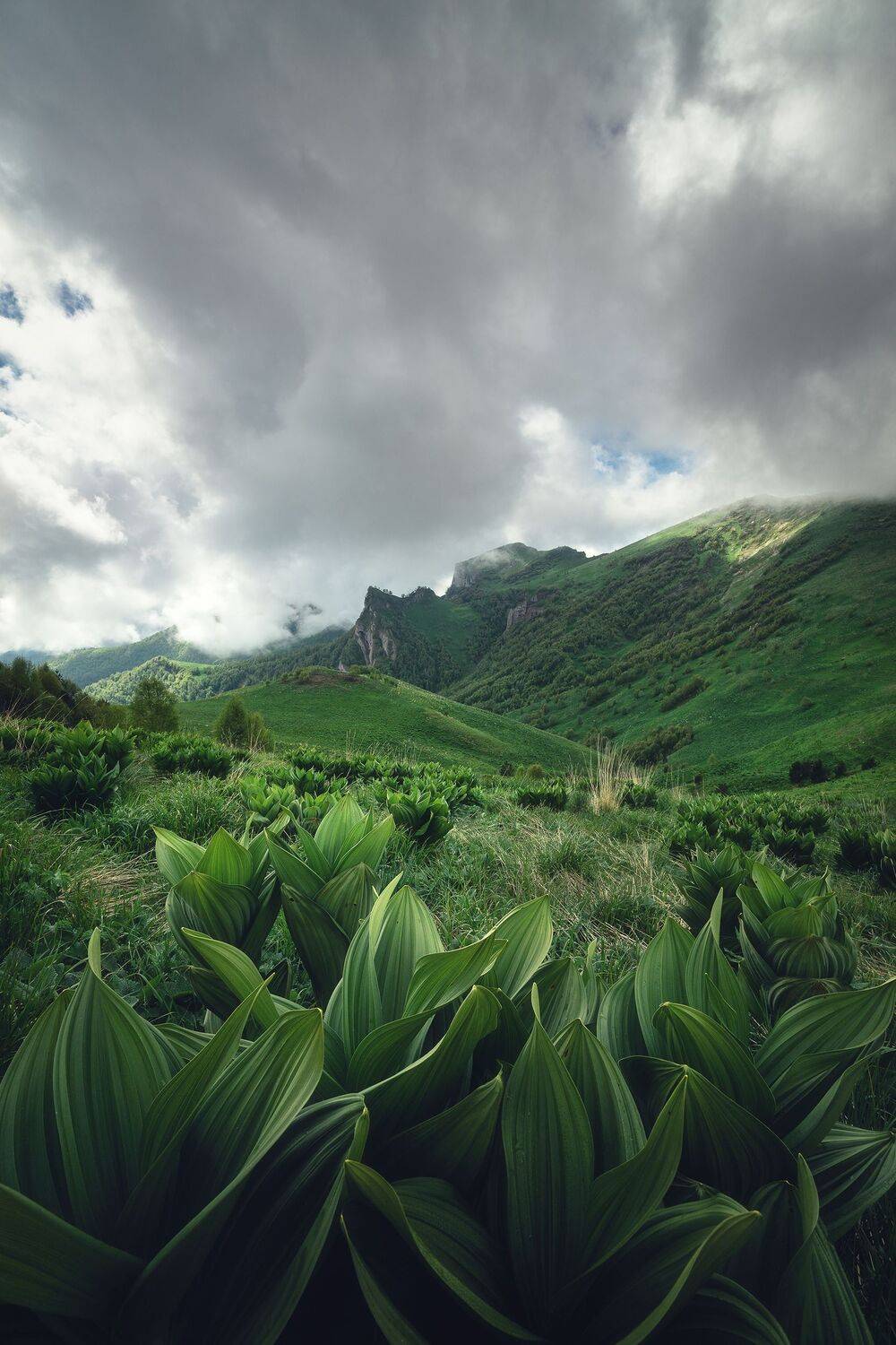 , Алексей Козаченко