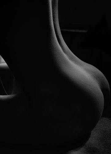 Lady