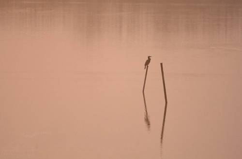 Одиночество рассвета