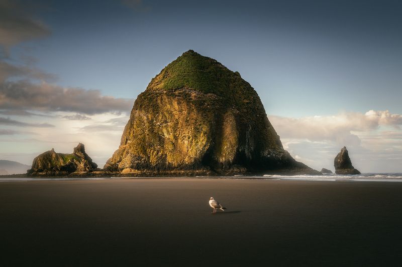 Cannon Beach My model for today :))) фото превью