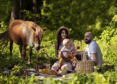 Семейный пикник