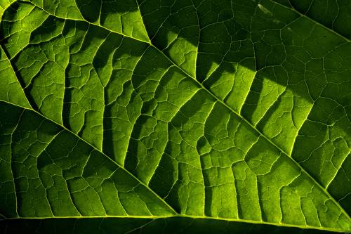 Свет и цвет