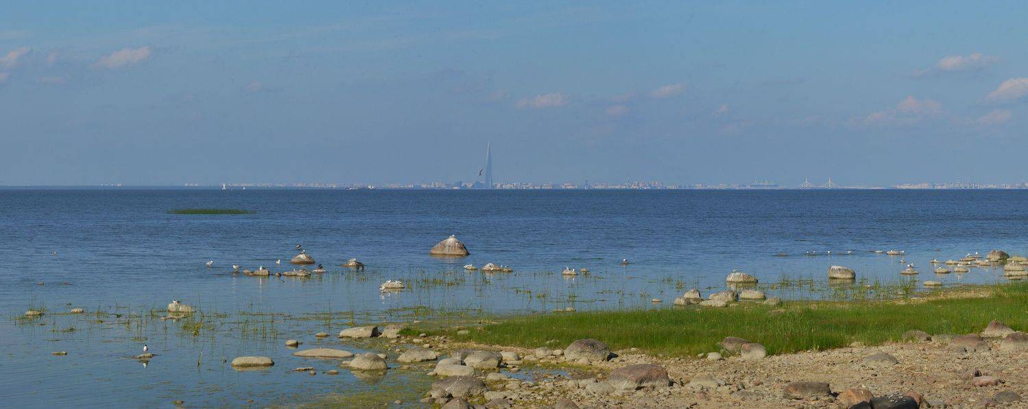 петербург, петергоф, невская губа, Сергей Седов