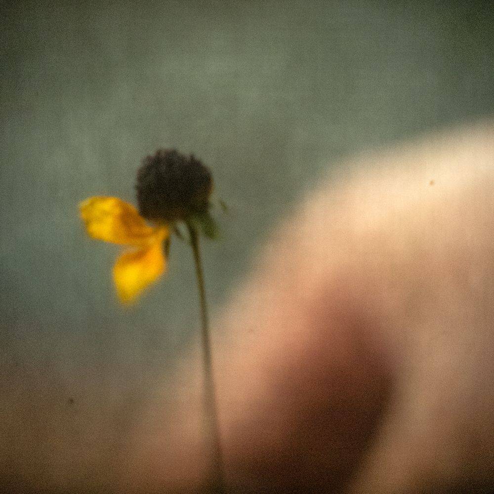 #haruhisa, Татьяна Аверина