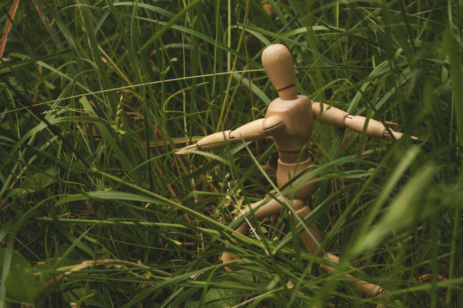 , Ольга Алексейчик