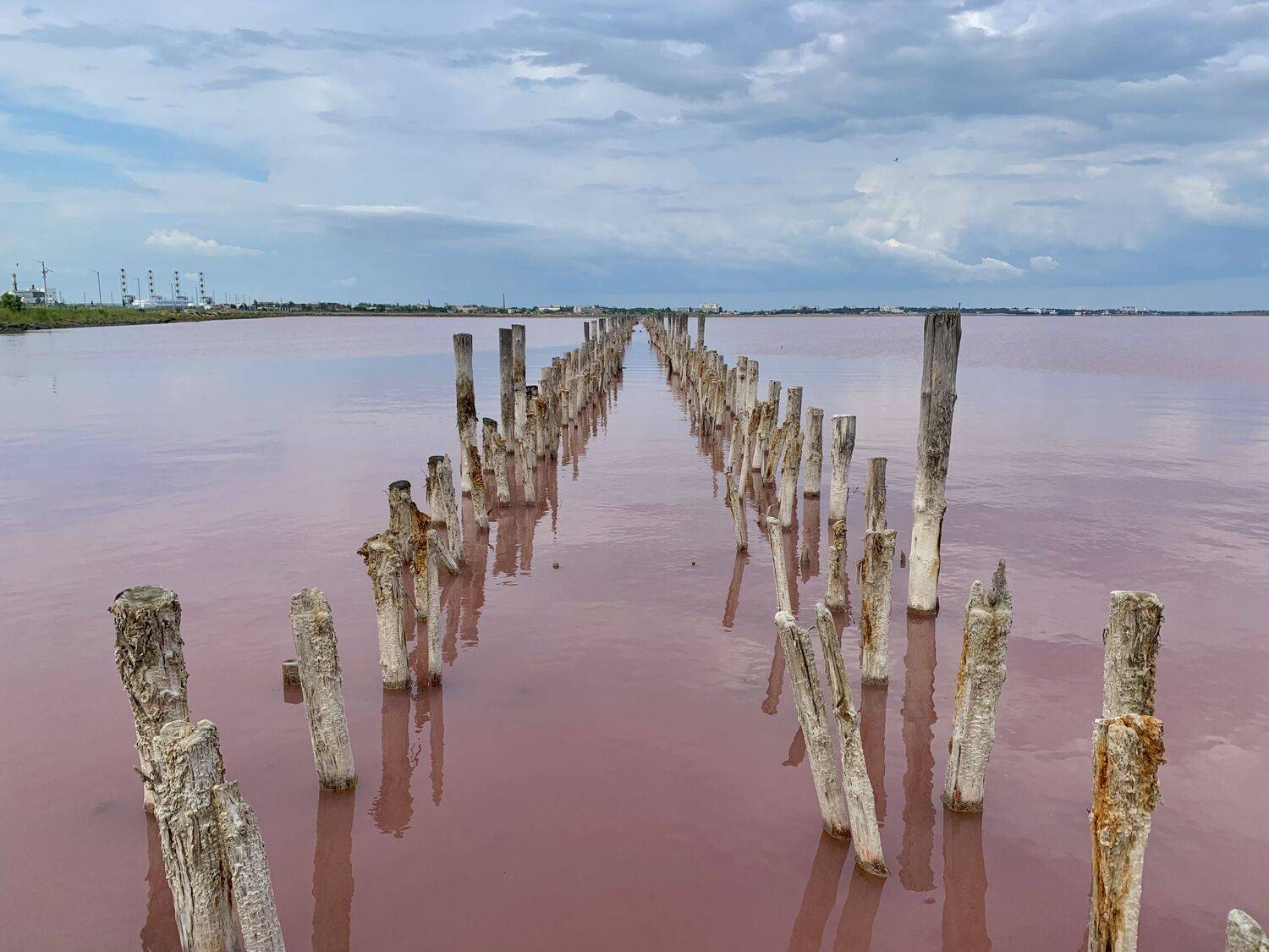 крым, саки, розовое озеро, Александр Аседач