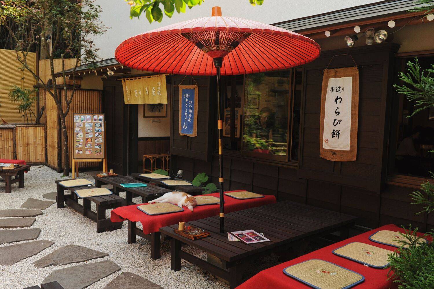 , Божена Пучко