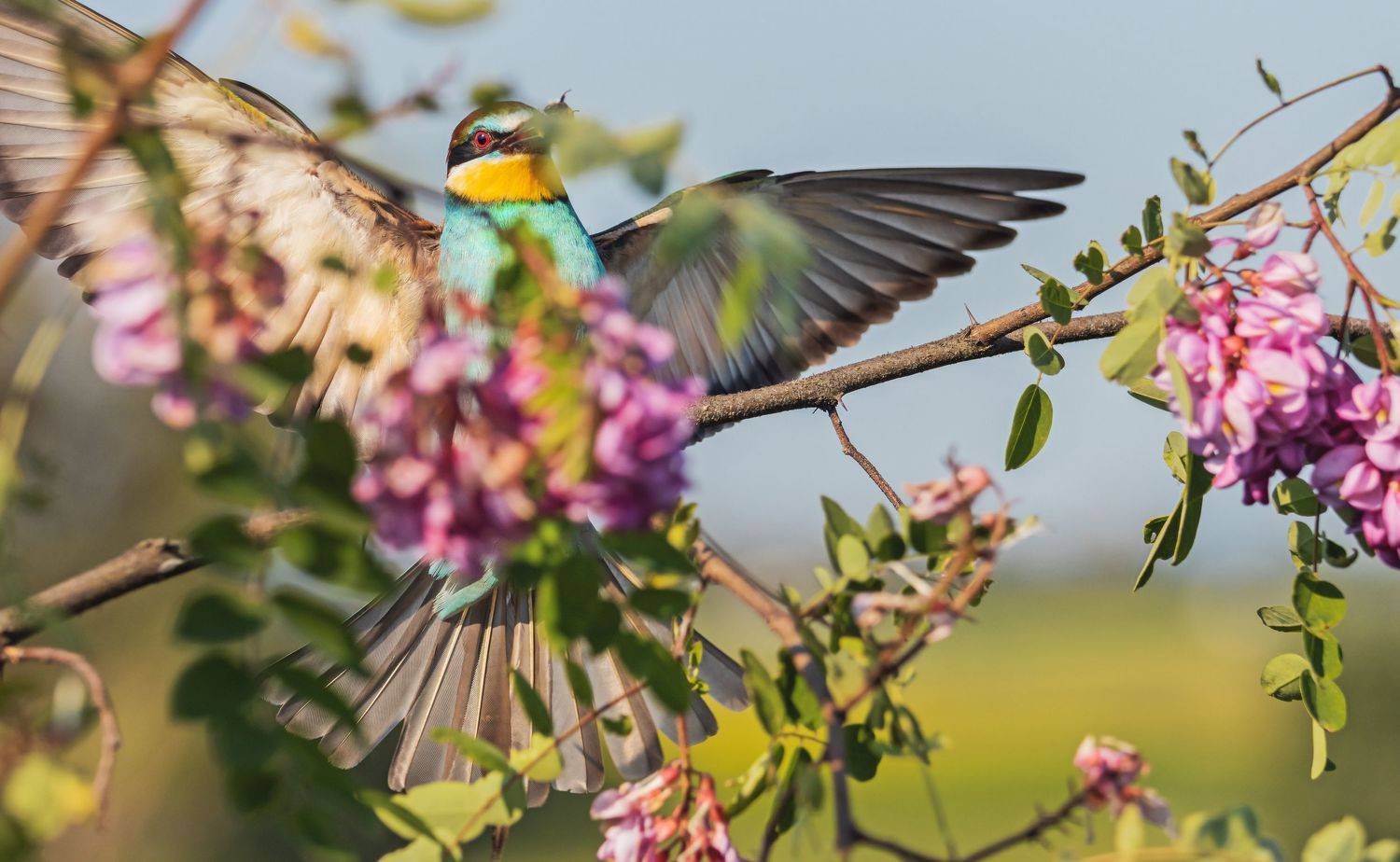 , Костянтин Пазюк