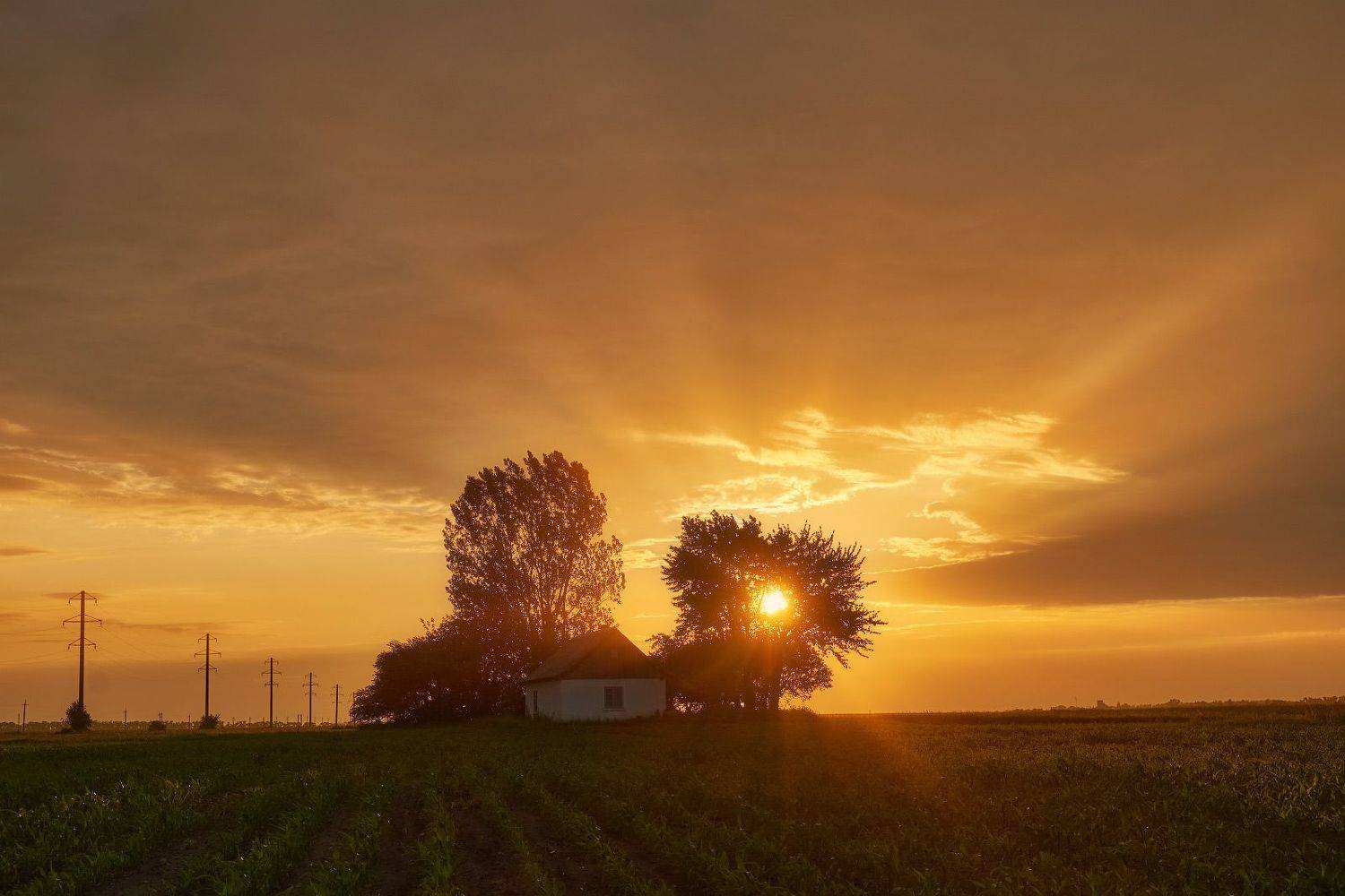 #nature, #туман, #лес, #oсень, #украина, #карпаты, #пейзаж, #закат, #туман, #солнце, #свет, #mountain range, #mountains, #туризм, #лес, #nature, #природа,, Леонид Морозов