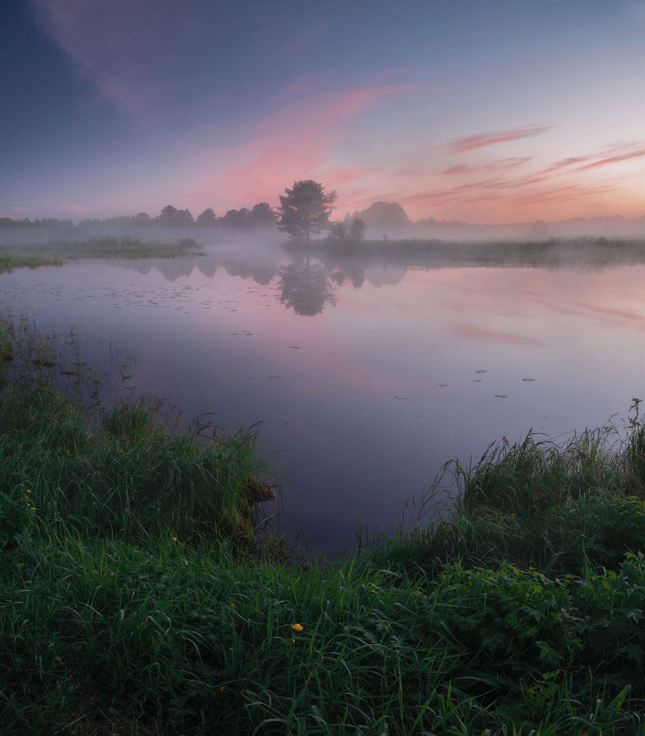 пейзаж,туман,россия,север,архангельская область,туман,отражение,озеро, Виталий Истомин