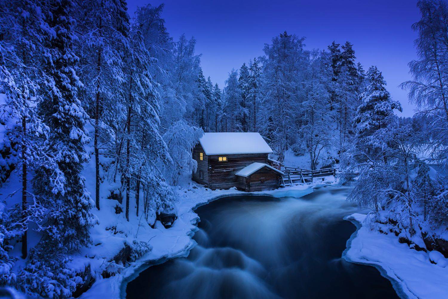 , Лариса Николаевна Дука