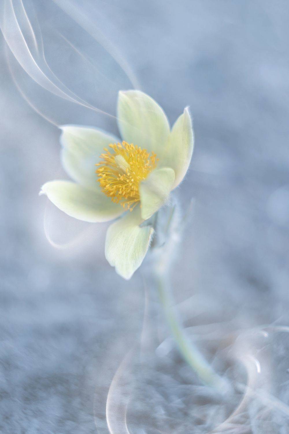 , Воинкова Ирина