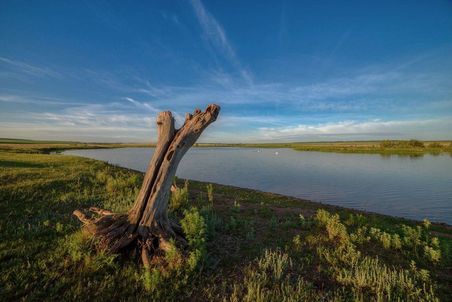 , Влад Шерман