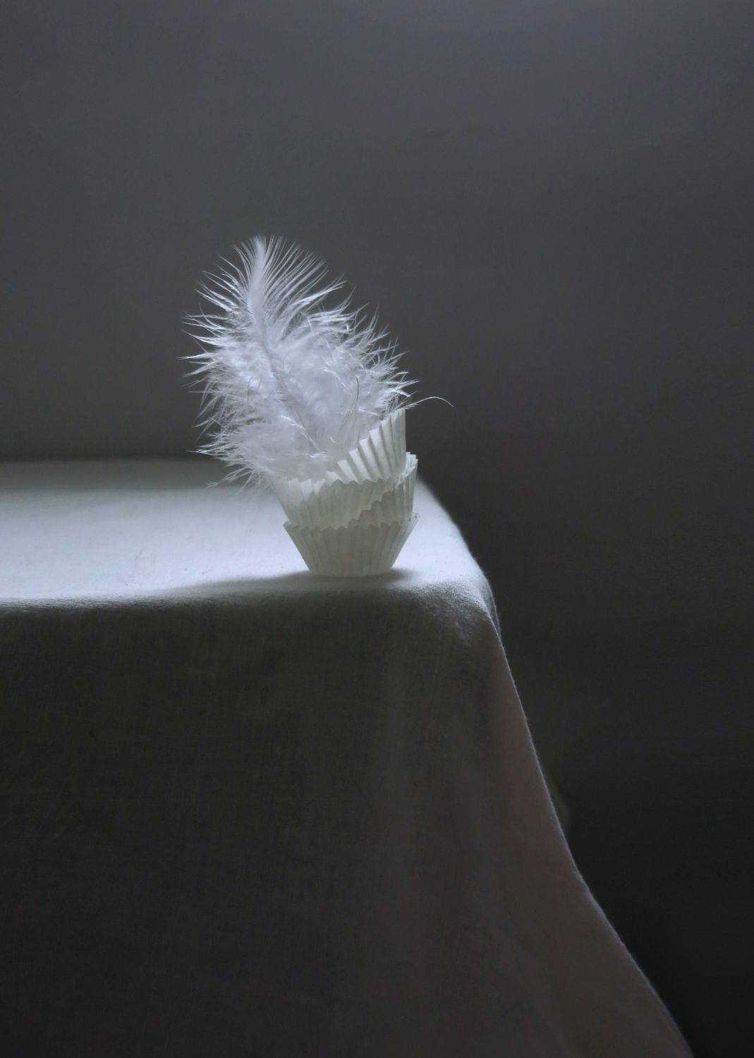 , Елена Лысенко