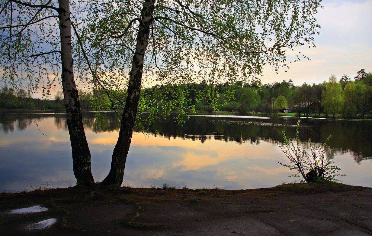 берег, вода, вечер, Тарасов Алексей