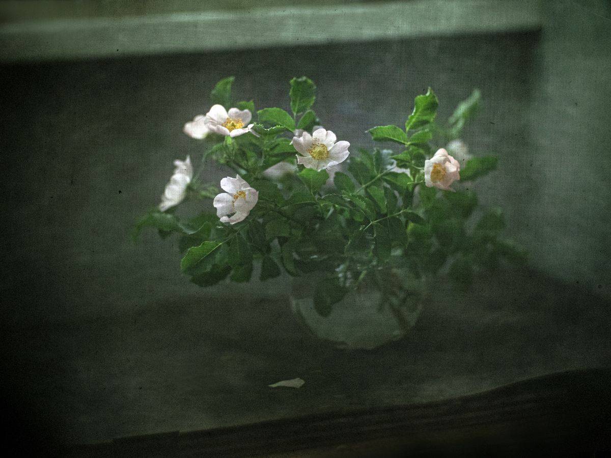 #haruhisa, Татьяна Аверина