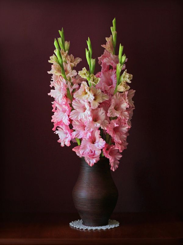 Гладиолусы фото превью