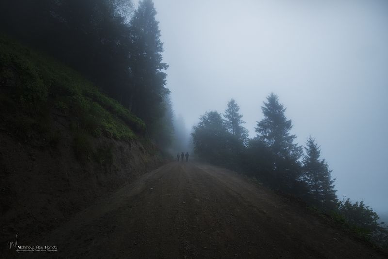 TRABZON фото превью