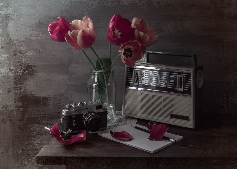 тюльпаны, спидола, зоркий, ретро Еще про апрельский ретро стайл фото превью