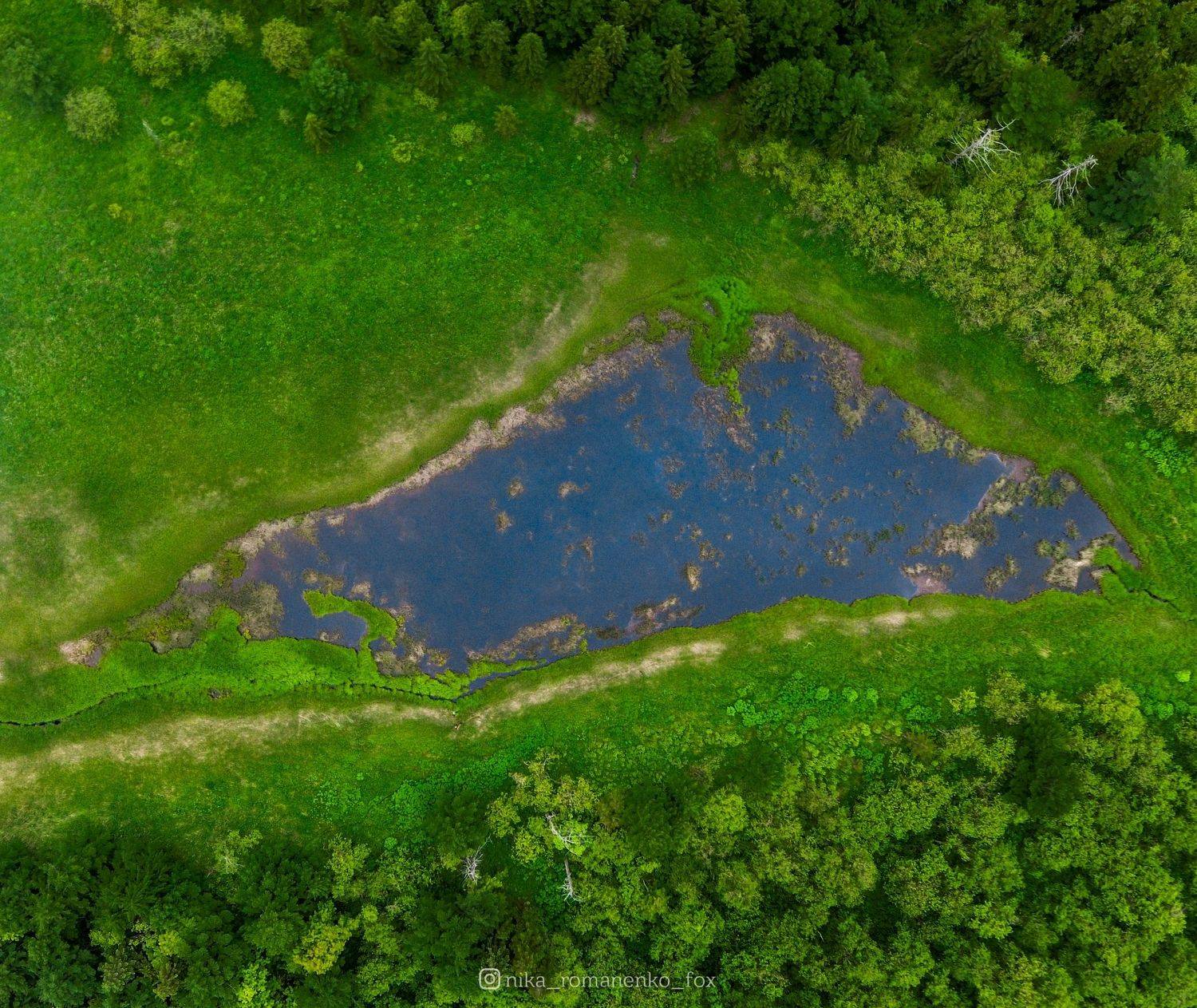 , Вероника Романенко