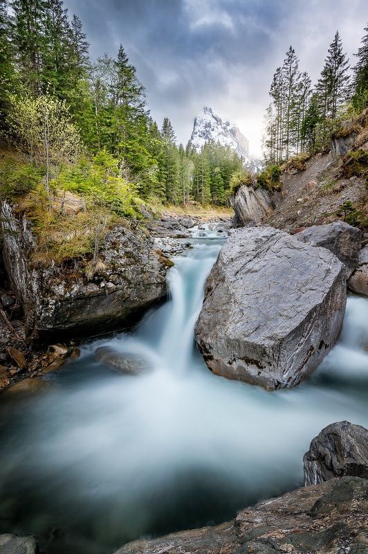 Wellhorn фото превью