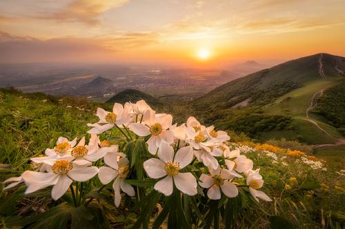 Весенний вечер