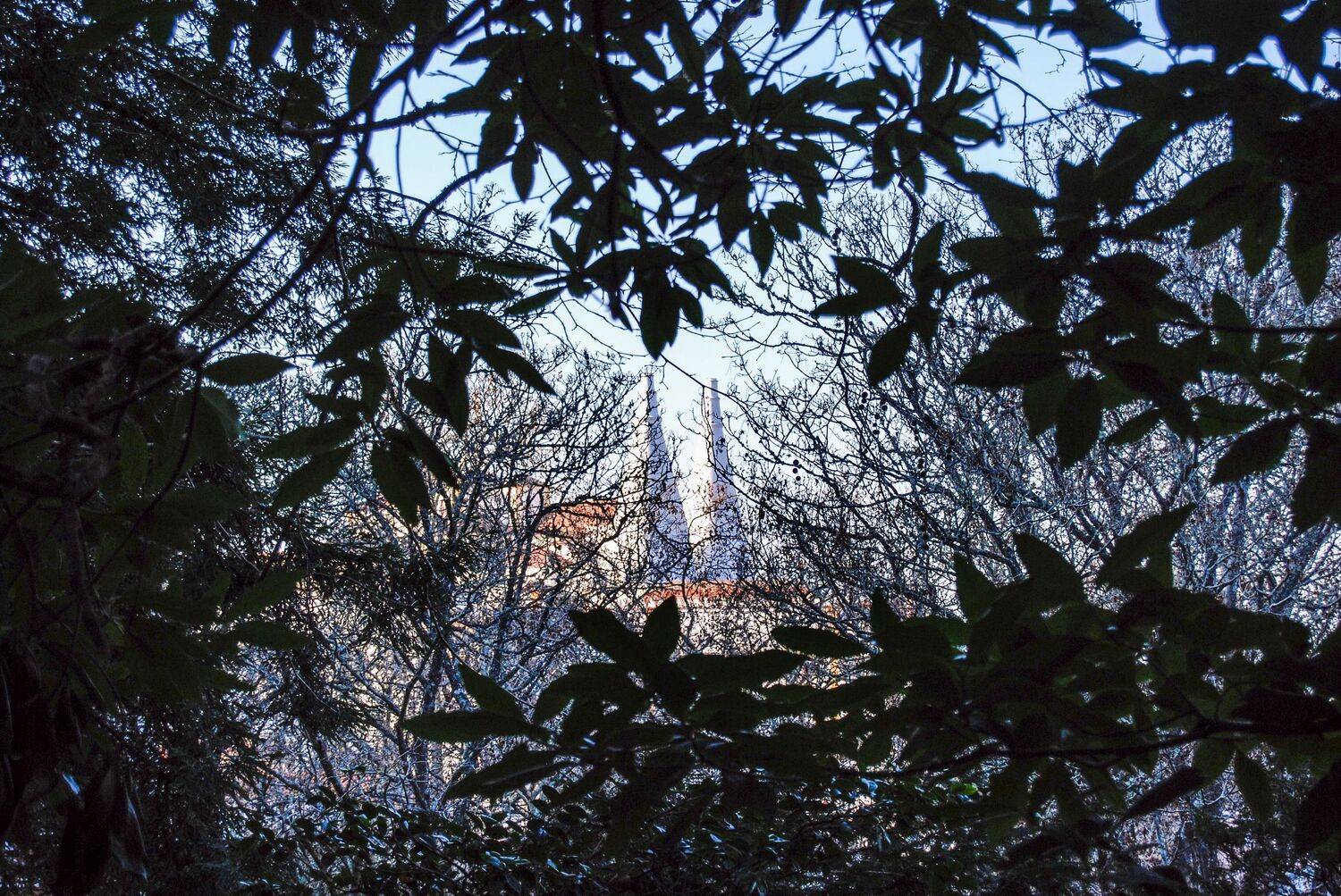 Landscapes, City, Nature, Carlos Machado