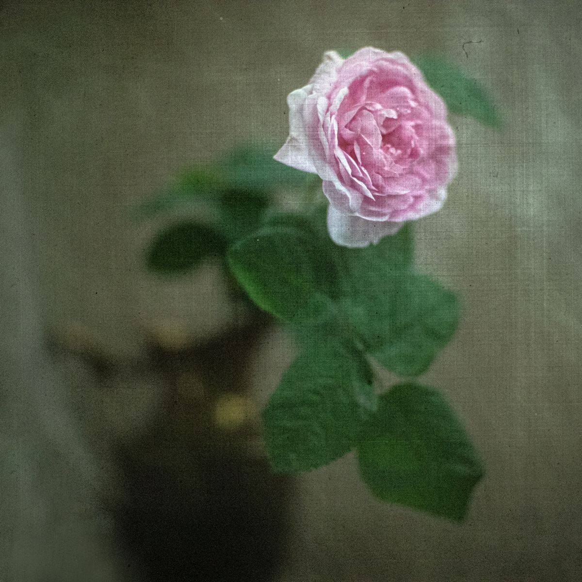 #haruhisa, Татьяна Аверина