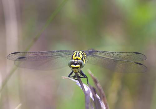 К взлету готова