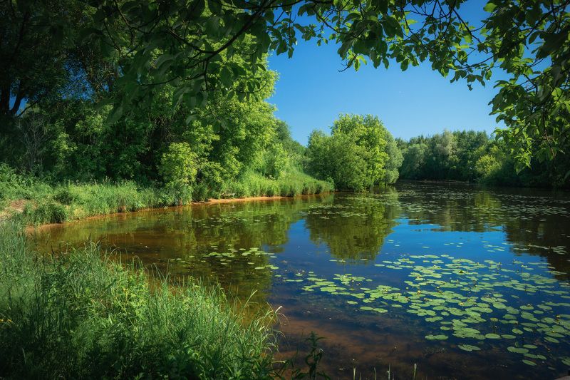 Канал им.Москвы фото превью
