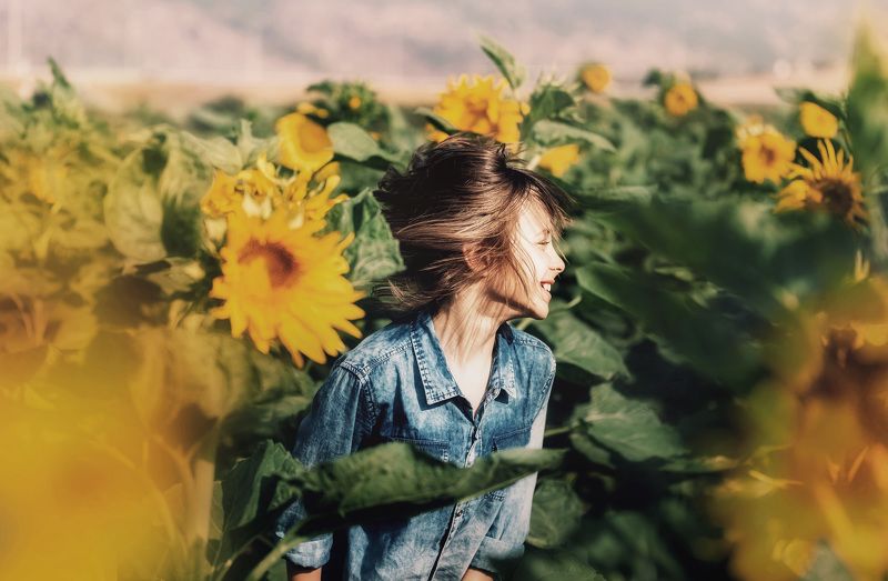 Подсолнухи фото превью